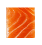 サーモン！（SALMON）（個別スタンプ：14）