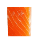 サーモン！（SALMON）（個別スタンプ：15）