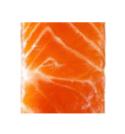 サーモン！（SALMON）（個別スタンプ：16）