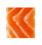 サーモン！（SALMON）（個別スタンプ：18）