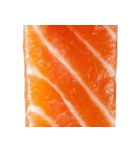 サーモン！（SALMON）（個別スタンプ：20）
