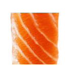 サーモン！（SALMON）（個別スタンプ：22）