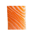 サーモン！（SALMON）（個別スタンプ：23）