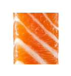 サーモン！（SALMON）（個別スタンプ：24）