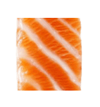 サーモン！（SALMON）（個別スタンプ：30）