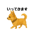 チワワの日常その1（個別スタンプ：2）