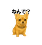 チワワの日常その1（個別スタンプ：9）