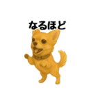 チワワの日常その1（個別スタンプ：15）