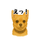 チワワの日常その1（個別スタンプ：17）