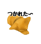 チワワの日常その1（個別スタンプ：24）