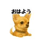 チワワの日常その1（個別スタンプ：26）