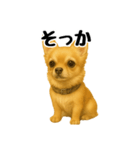 チワワの日常その1（個別スタンプ：30）