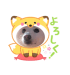 シロンくんとポポ(*ฅ́˘ฅ̀*)♡（個別スタンプ：3）