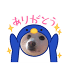 シロンくんとポポ(*ฅ́˘ฅ̀*)♡（個別スタンプ：5）