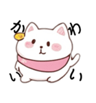 喋る猫ぴょん（個別スタンプ：19）