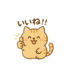 まんまる、とらやんは、動かない②（個別スタンプ：5）