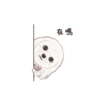 ホンマージー（個別スタンプ：1）