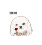 ホンマージー（個別スタンプ：3）