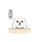 ホンマージー（個別スタンプ：5）