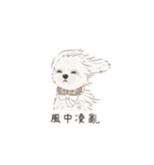 ホンマージー（個別スタンプ：9）