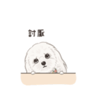 ホンマージー（個別スタンプ：11）