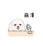 ホンマージー（個別スタンプ：12）