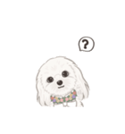 ホンマージー（個別スタンプ：16）