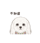 ホンマージー（個別スタンプ：17）