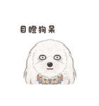 ホンマージー（個別スタンプ：20）