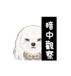 ホンマージー（個別スタンプ：21）