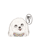 ホンマージー（個別スタンプ：22）