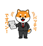 ビジネスしばいぬの日常スタンプ（個別スタンプ：8）