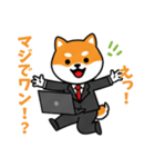 ビジネスしばいぬの日常スタンプ（個別スタンプ：9）