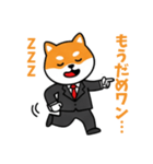 ビジネスしばいぬの日常スタンプ（個別スタンプ：11）