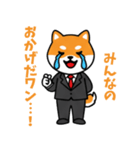 ビジネスしばいぬの日常スタンプ（個別スタンプ：12）