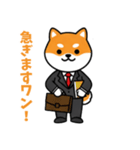 ビジネスしばいぬの日常スタンプ（個別スタンプ：14）