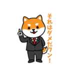 ビジネスしばいぬの日常スタンプ（個別スタンプ：15）