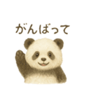 ほのぼの水彩パンダの優しい挨拶と思いやり（個別スタンプ：24）