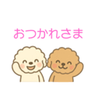 ゆるかわトイプードル♡使いやすいスタンプ（個別スタンプ：1）