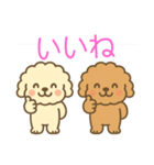 ゆるかわトイプードル♡使いやすいスタンプ（個別スタンプ：7）