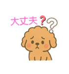 ゆるかわトイプードル♡使いやすいスタンプ（個別スタンプ：11）