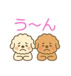 ゆるかわトイプードル♡使いやすいスタンプ（個別スタンプ：12）