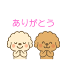 ゆるかわトイプードル♡使いやすいスタンプ（個別スタンプ：13）