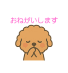 ゆるかわトイプードル♡使いやすいスタンプ（個別スタンプ：17）