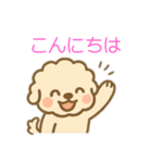 ゆるかわトイプードル♡使いやすいスタンプ（個別スタンプ：19）