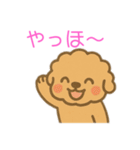 ゆるかわトイプードル♡使いやすいスタンプ（個別スタンプ：20）