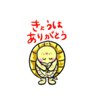 ヒガシヘルマンリクガメの亀ちゃん先生3（個別スタンプ：5）