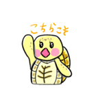 ヒガシヘルマンリクガメの亀ちゃん先生3（個別スタンプ：6）