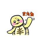 ヒガシヘルマンリクガメの亀ちゃん先生3（個別スタンプ：7）