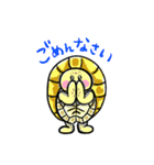 ヒガシヘルマンリクガメの亀ちゃん先生3（個別スタンプ：8）